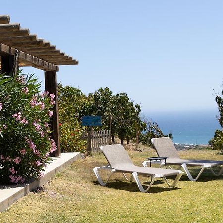 La Casa Del Burro Bed & Breakfast Nerja Luaran gambar