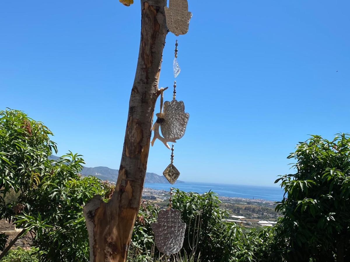 La Casa Del Burro Bed & Breakfast Nerja Luaran gambar