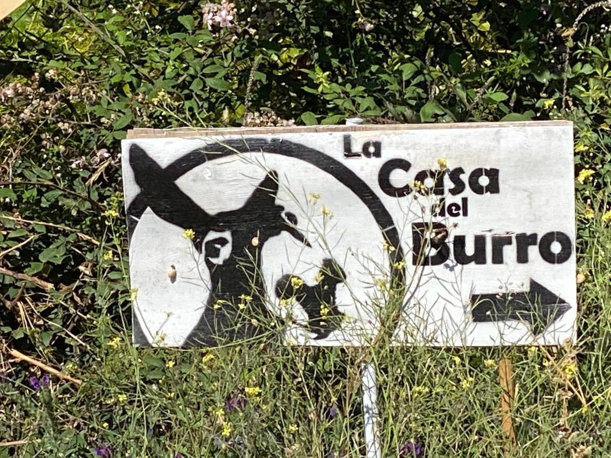 La Casa Del Burro Bed & Breakfast Nerja Luaran gambar