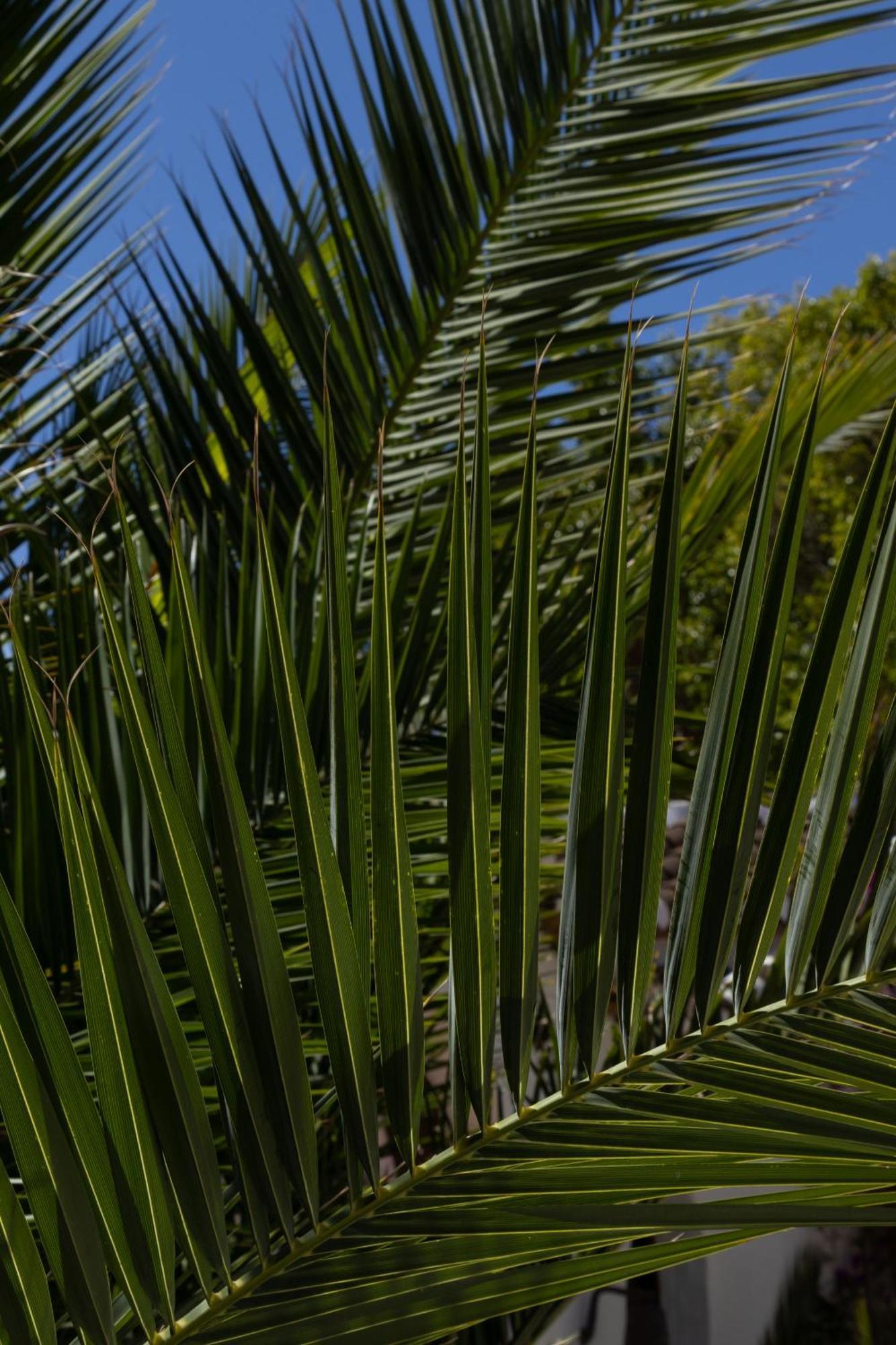 La Casa Del Burro Bed & Breakfast Nerja Luaran gambar