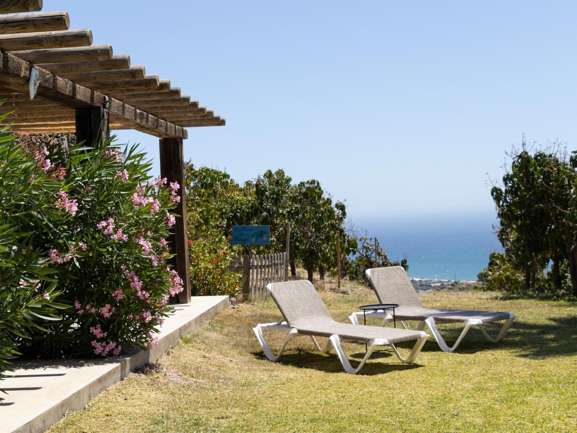 La Casa Del Burro Bed & Breakfast Nerja Luaran gambar