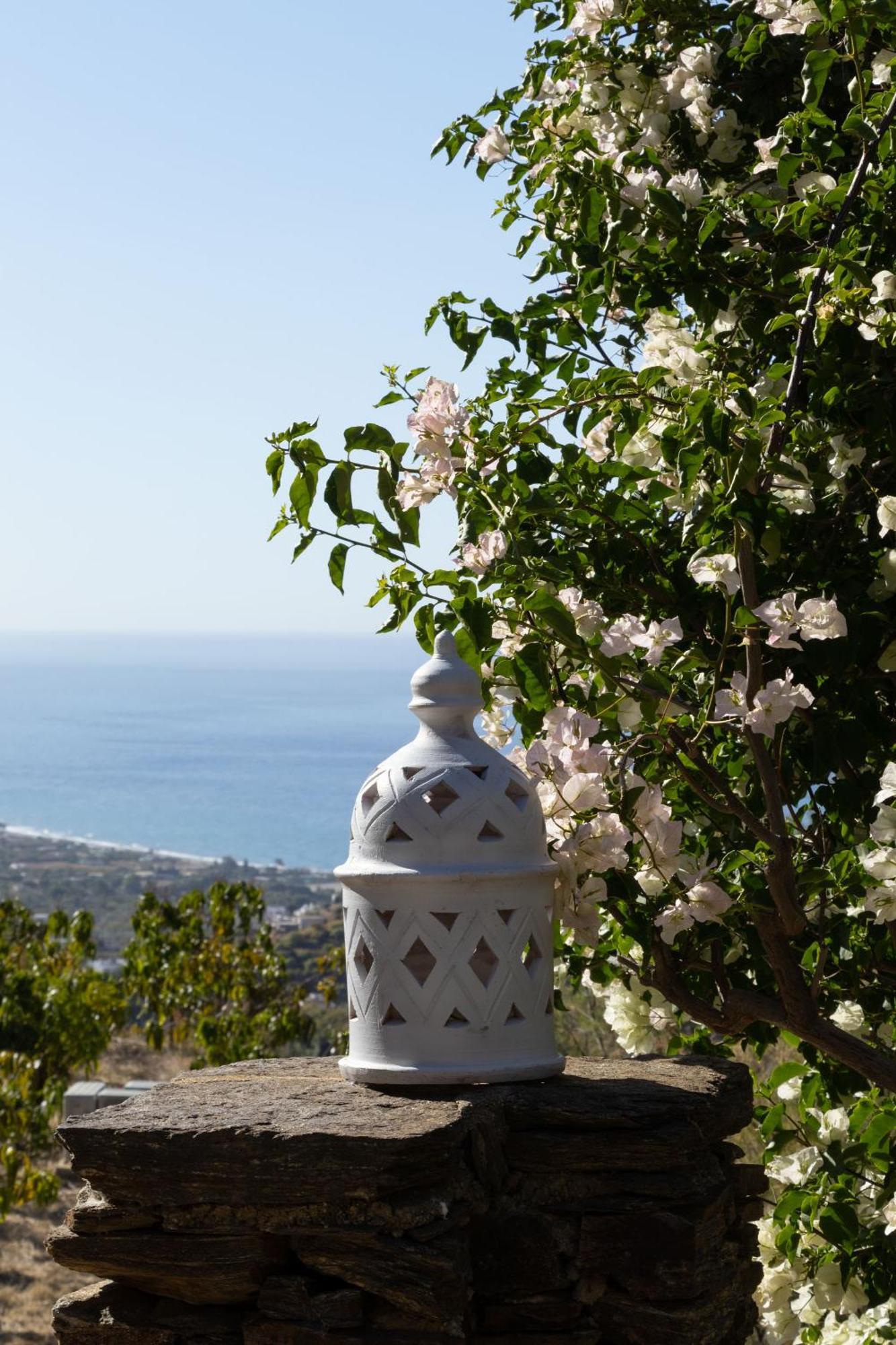 La Casa Del Burro Bed & Breakfast Nerja Luaran gambar