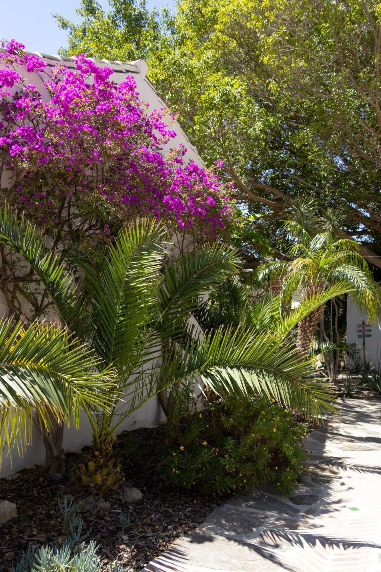 La Casa Del Burro Bed & Breakfast Nerja Luaran gambar