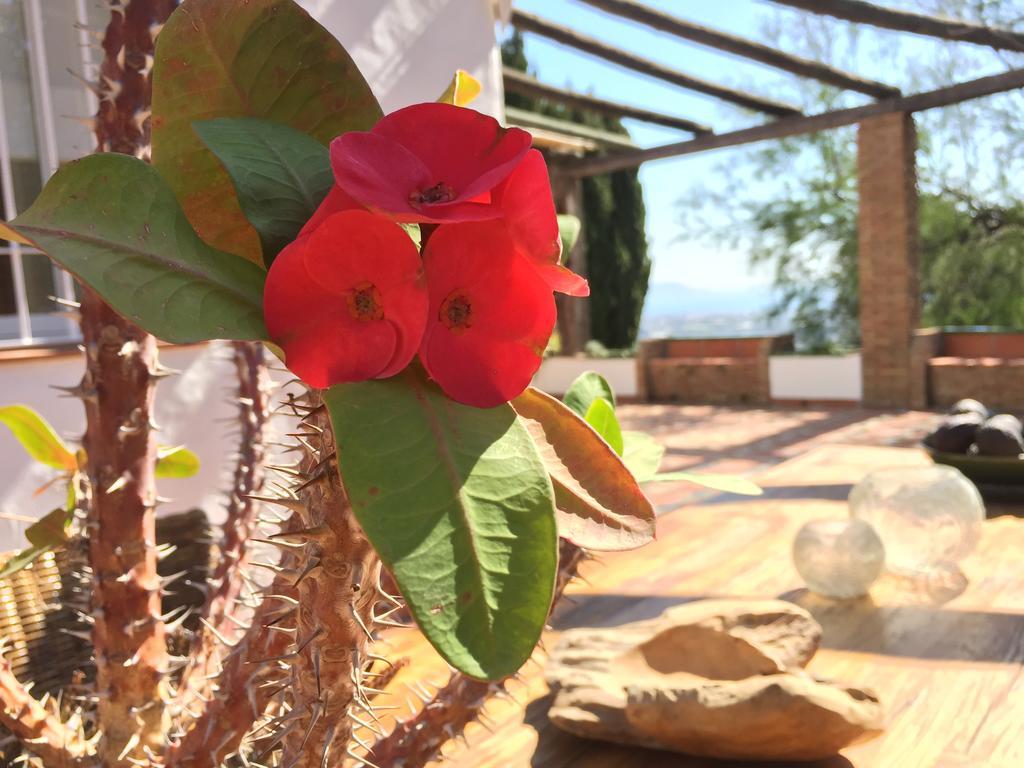 La Casa Del Burro Bed & Breakfast Nerja Luaran gambar